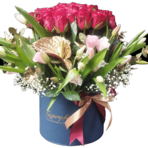 box roses compact with mixed flowers